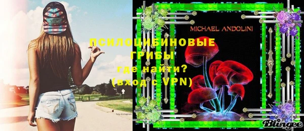 первитин Няндома