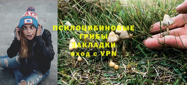 apvp Нягань