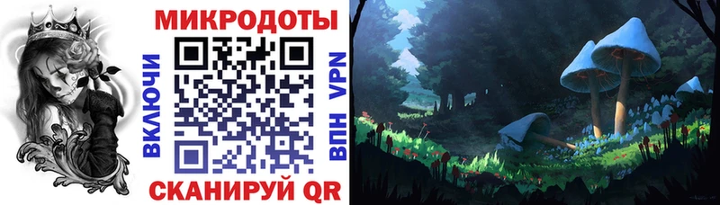 дарнет шоп  Апатиты  Галлюциногенные грибы мицелий 