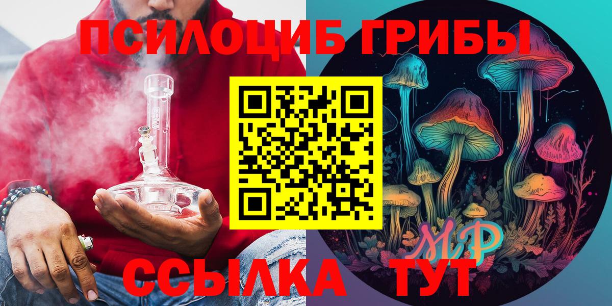 Псилоцибиновые грибы Psilocybine cubensis  Галлюциногенные грибы Psilocybe  Апатиты 