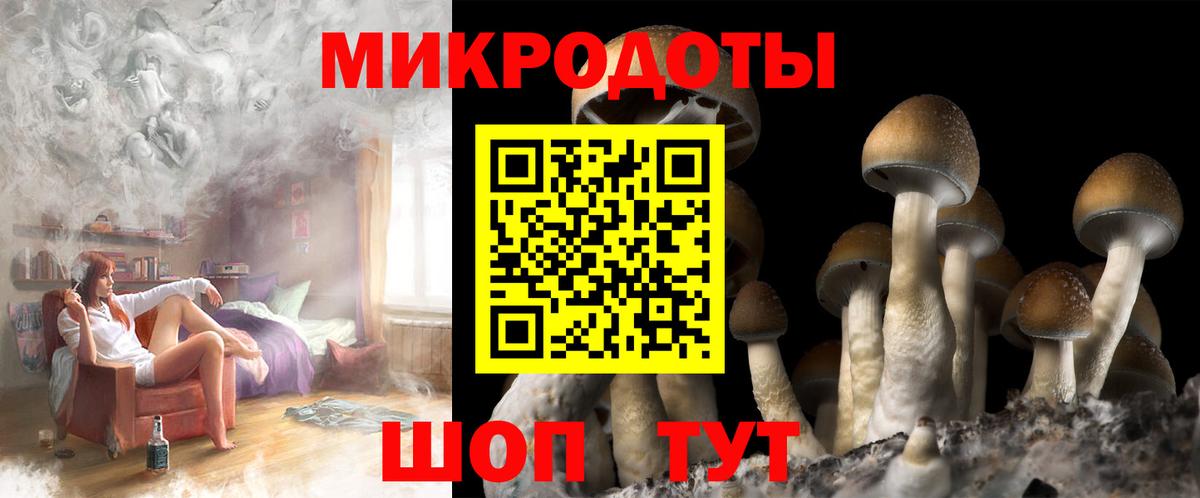 Псилоцибиновые грибы Cubensis  Вход с VPN  Галлюциногенные грибы Magic Shrooms  Апатиты 