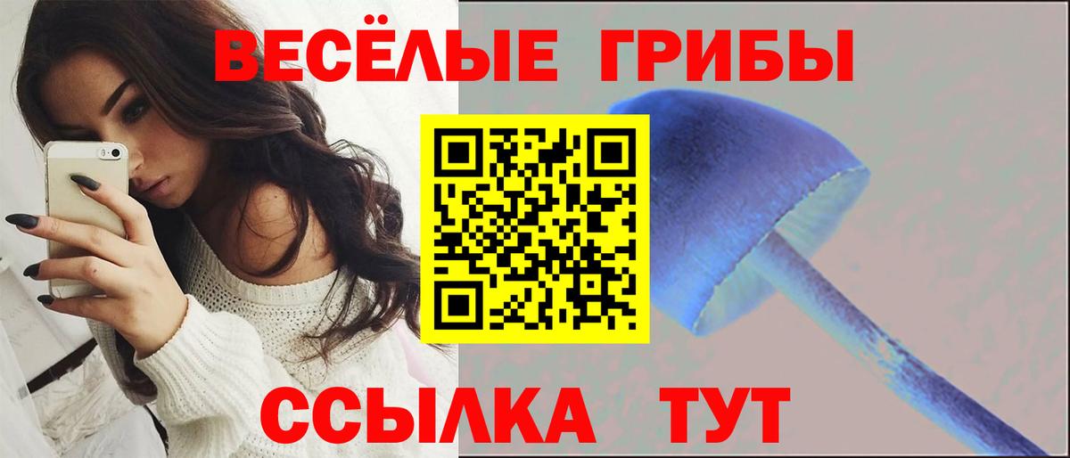 Апатиты  Меф   Alpha PVP СОЛЬ кристаллы  НБОМе  Меф МЯУ МЯУ   Канабис  ГАШИШ  Бошки Шишки  Метадон 